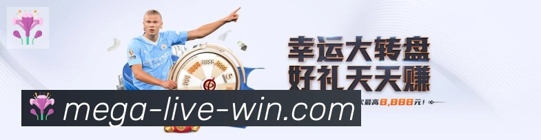 体育数据展示